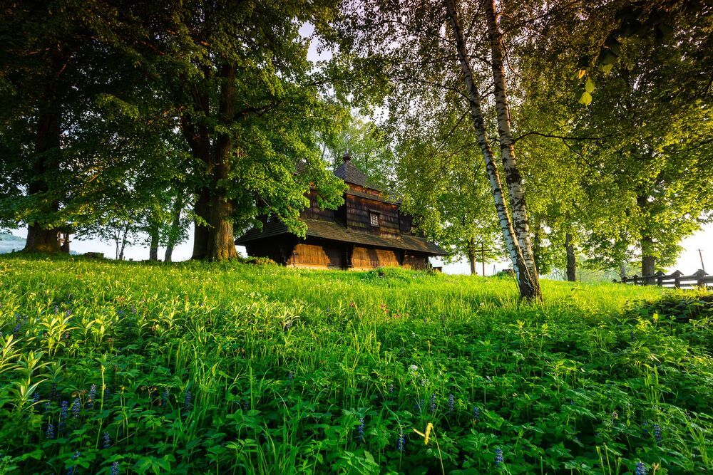 Michal Sleczek Photography