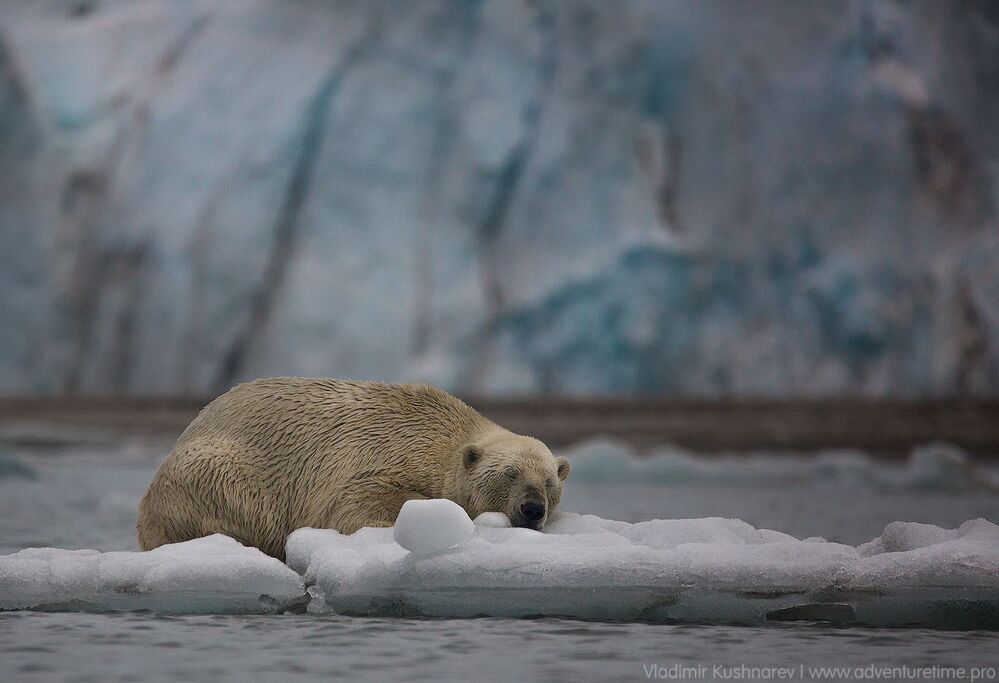 Svalbard