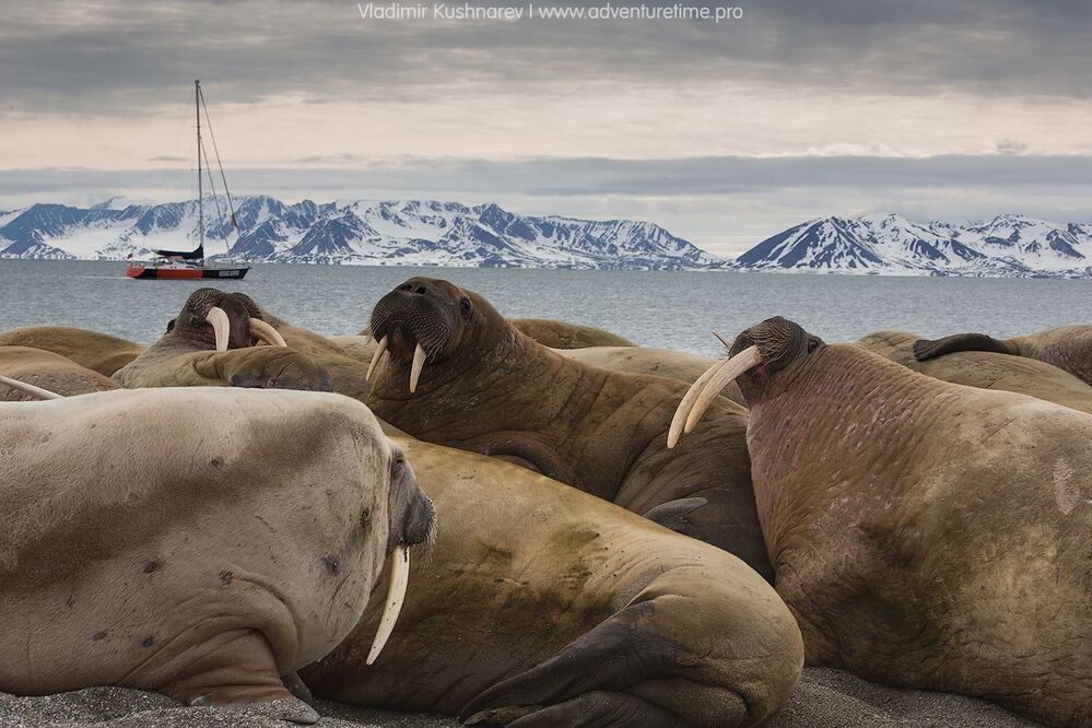 Svalbard