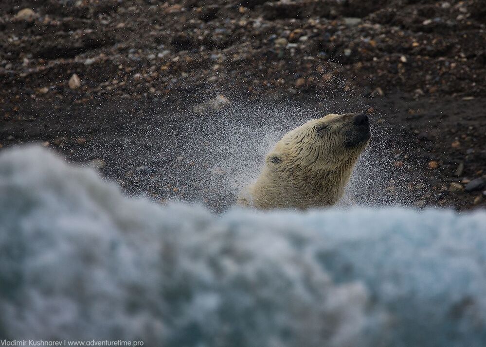 Svalbard