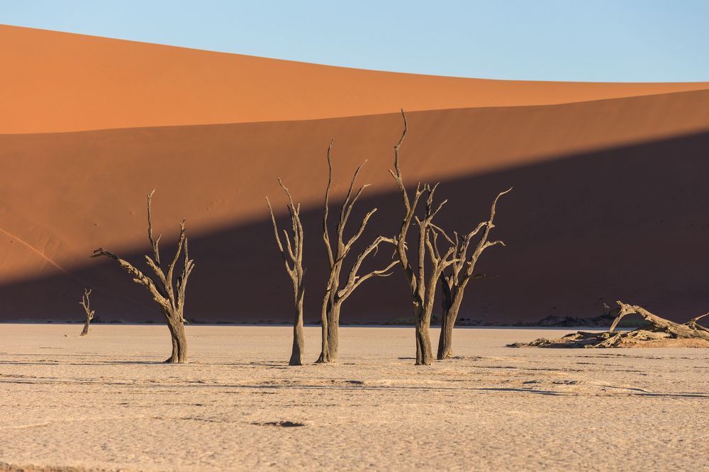 Namibia Deadvlei