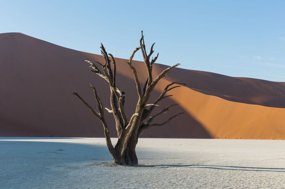 Namibia Deadvlei