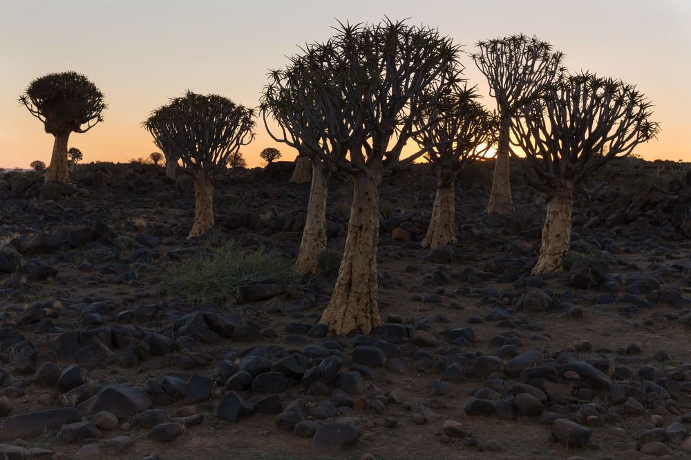 Namibia Quivertree Foresst Rest Camp