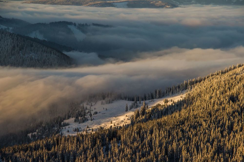 Mountain