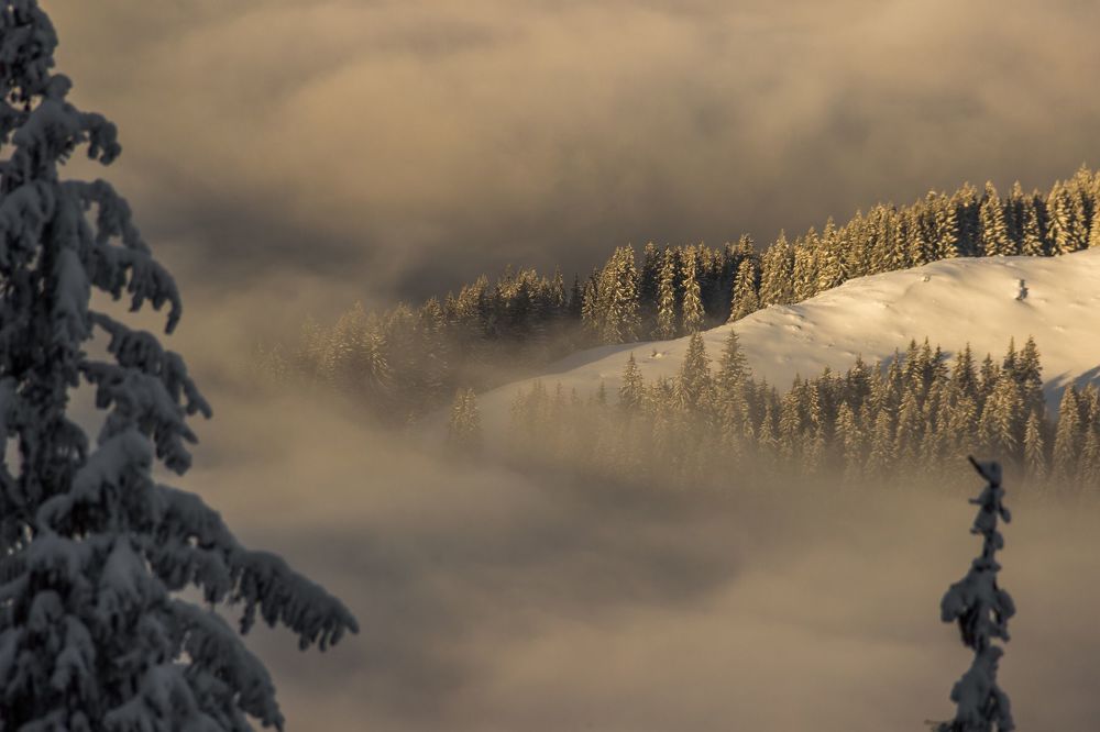Mountain