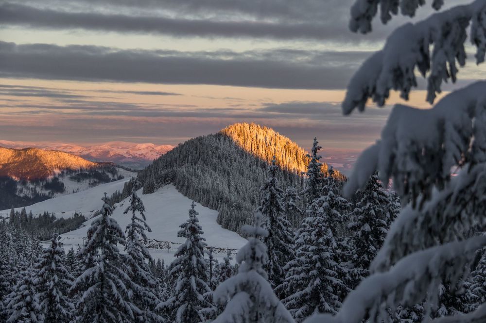 Mountain
