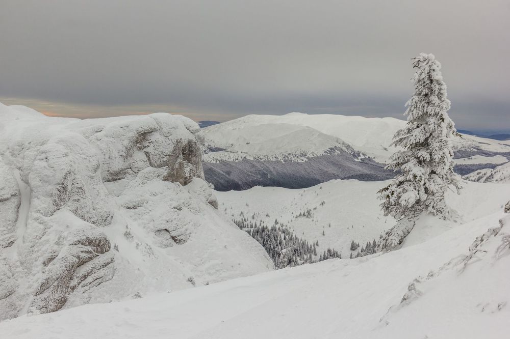 Mountain