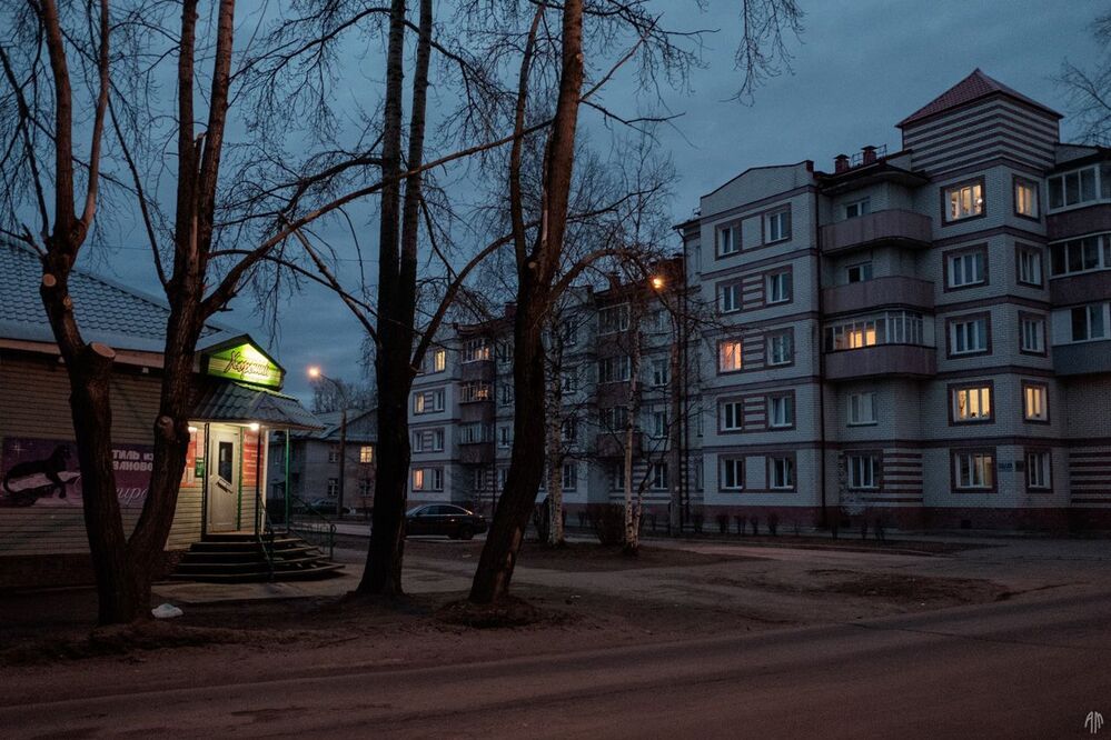Погружаясь в ночь