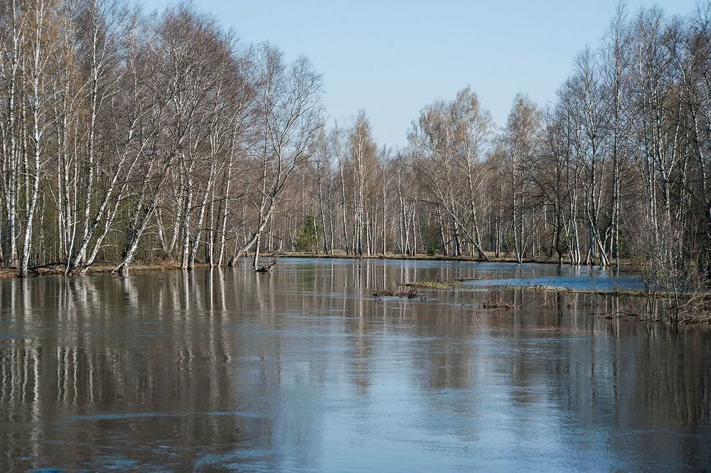 03 Зато в начале мая реки совсем не похожи на себя&hellip;