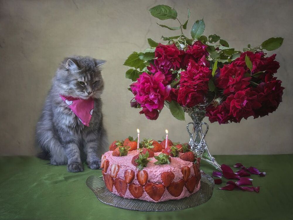 - Это что, мне их задуть надо?