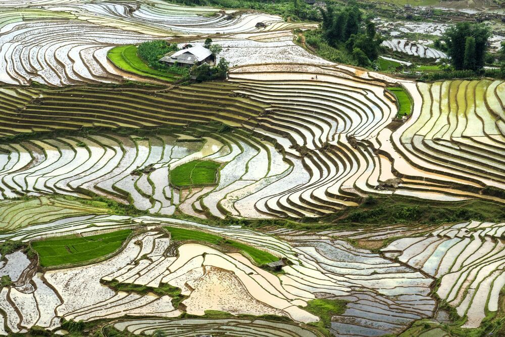 Viet nam