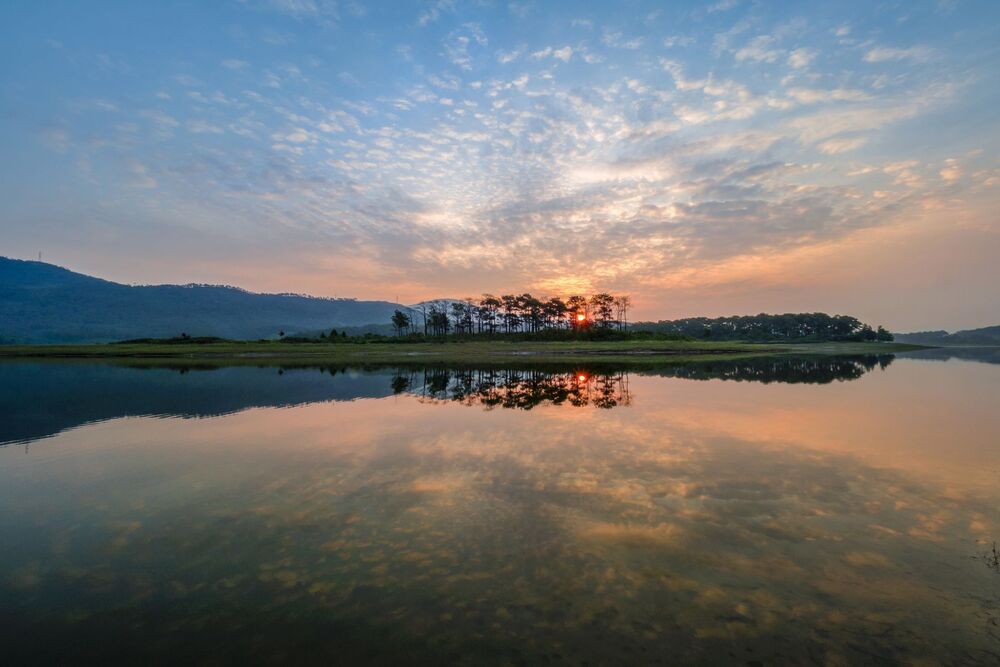 Viet nam
