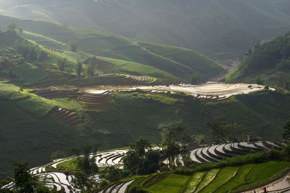 Viet nam