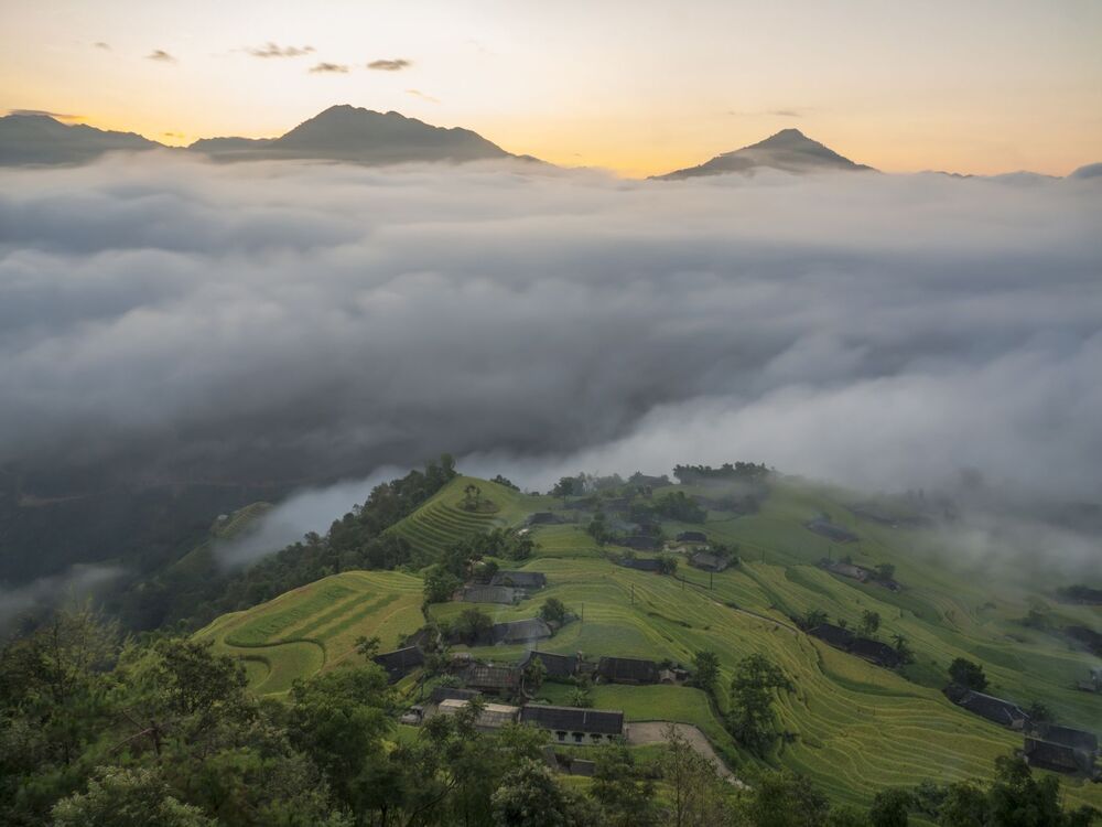 Viet nam