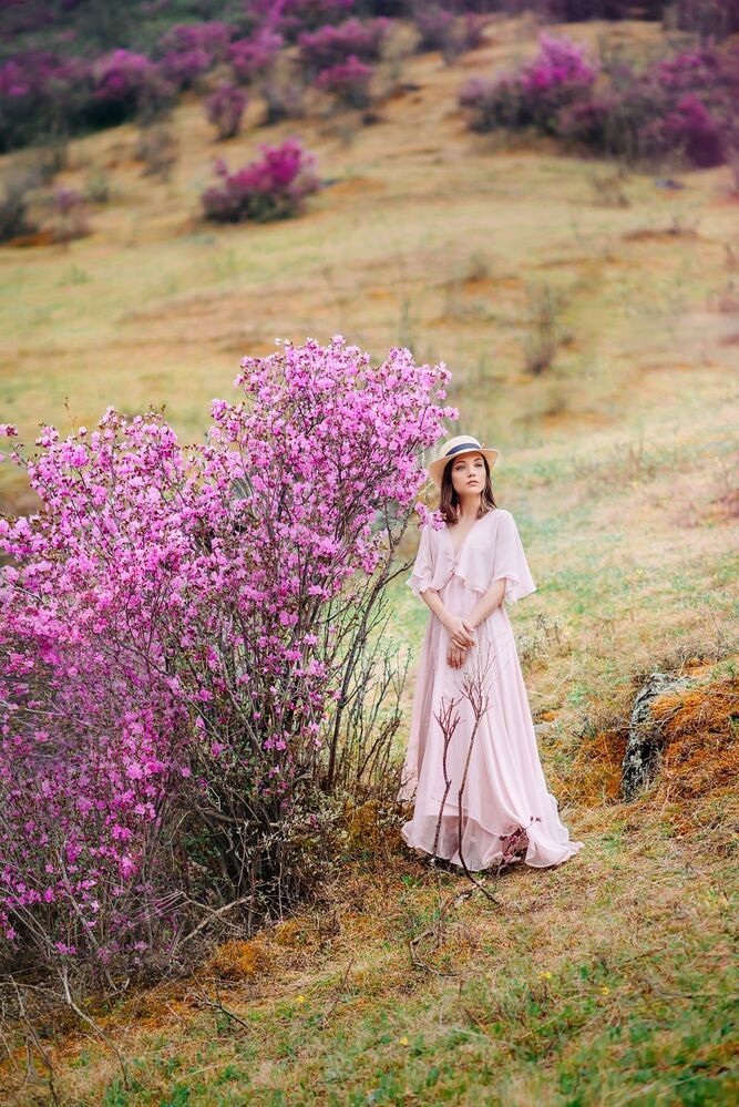 Violet