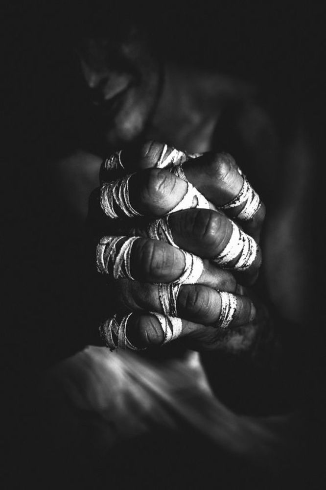 Photo 1295331