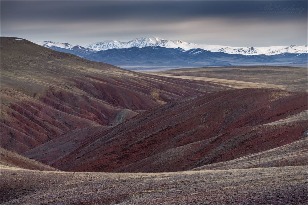 Алтайская осень ..