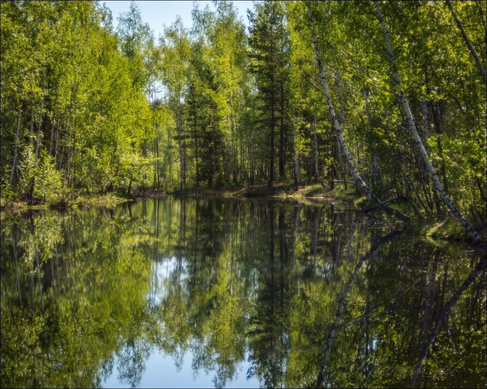 В храме майского леса