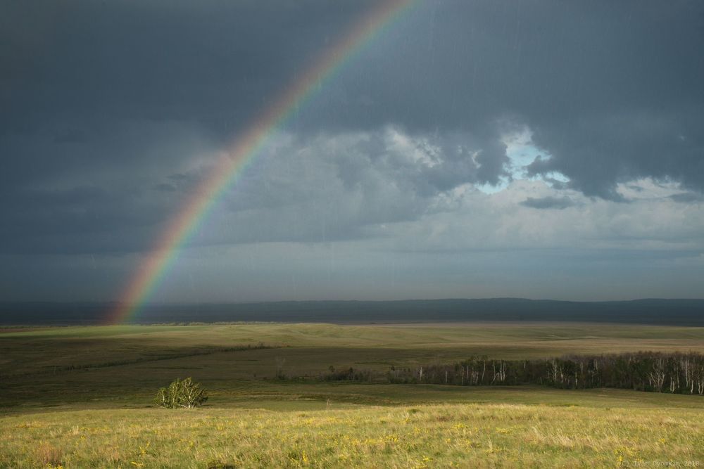 Оренбургская степь