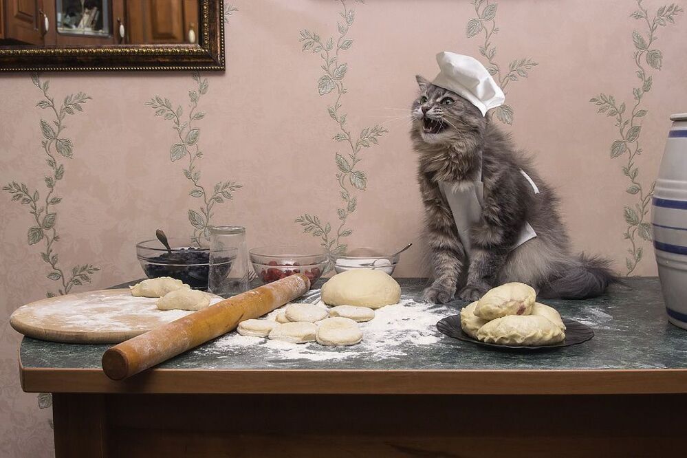 - А где сметана?
