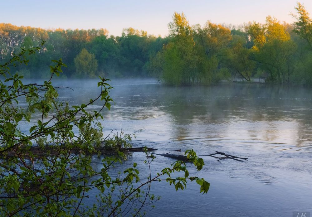 "Амазония" местного разлива ..