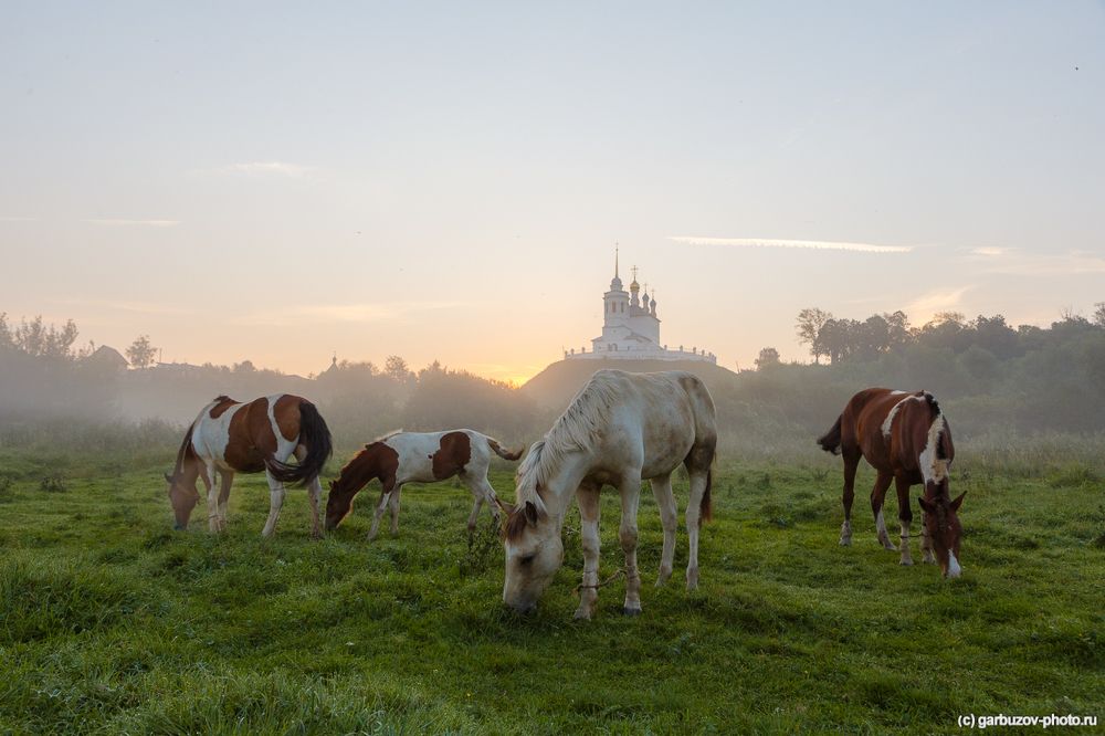 Рассвет в Епифани