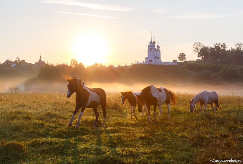 Рассвет в Епифани