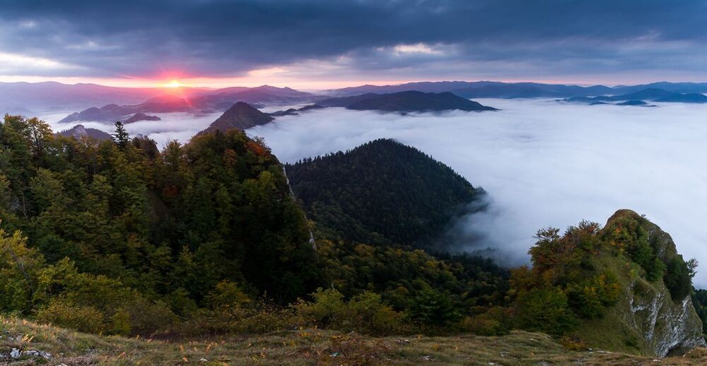 Landscapes