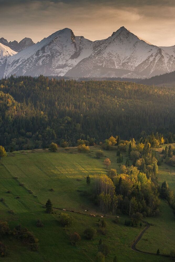 Landscapes
