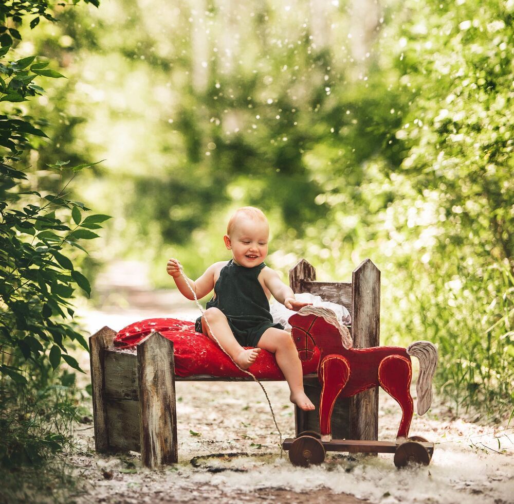Моя маленькая лошадка