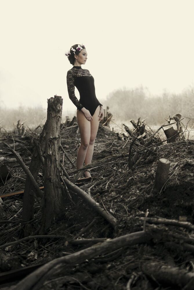Portfolio Ilya Matushkin