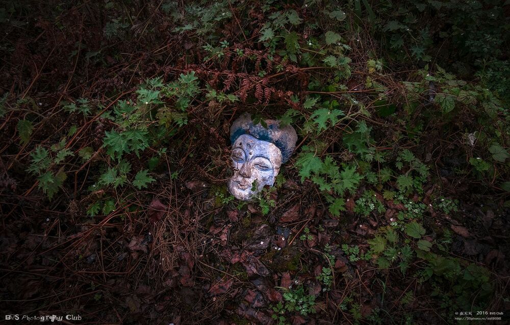 Stump Buddha 残佛