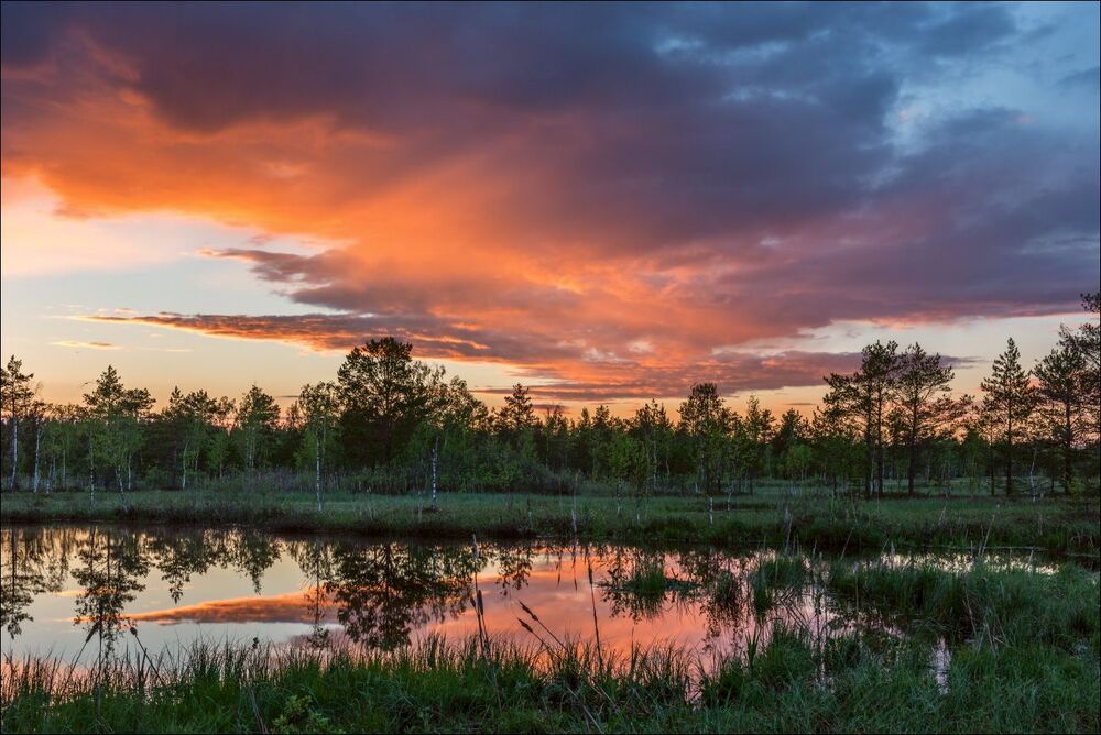 Полыхнуло