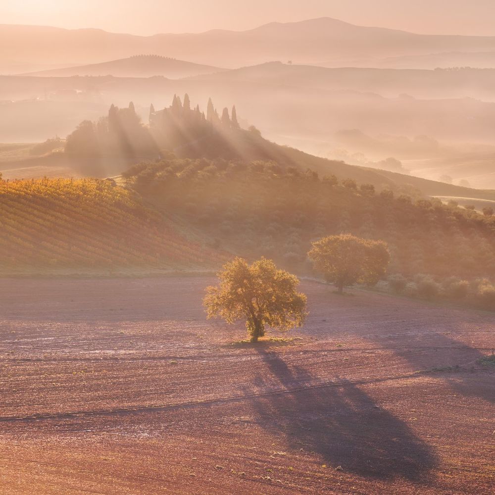 Podere Belvedere