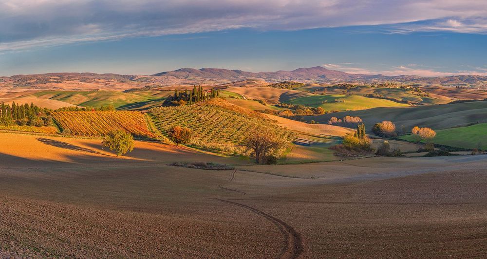 Podere Belvedere