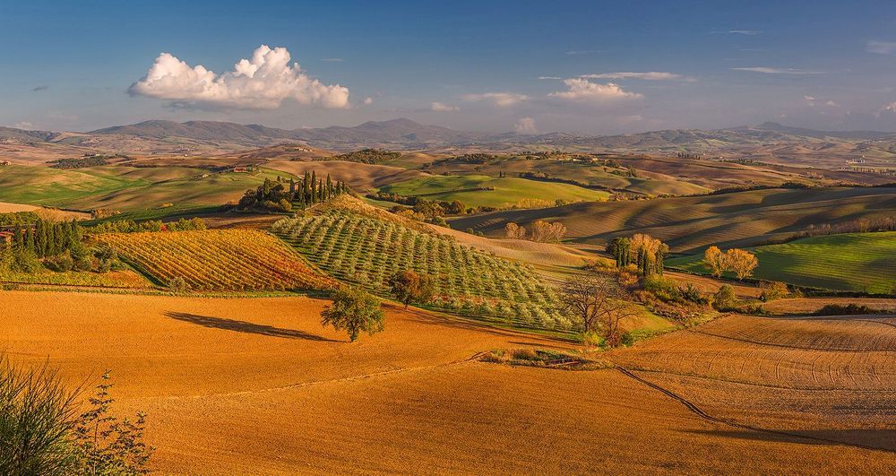 Podere Belvedere