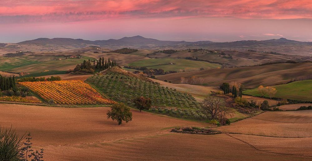 Podere Belvedere