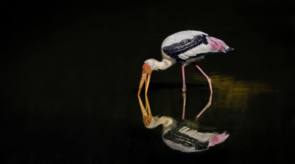 Samiul Kabir Photography