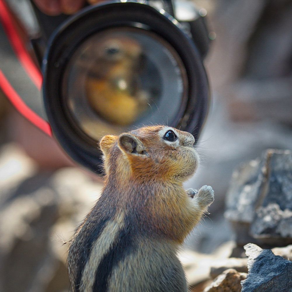 С Днём фотографа!