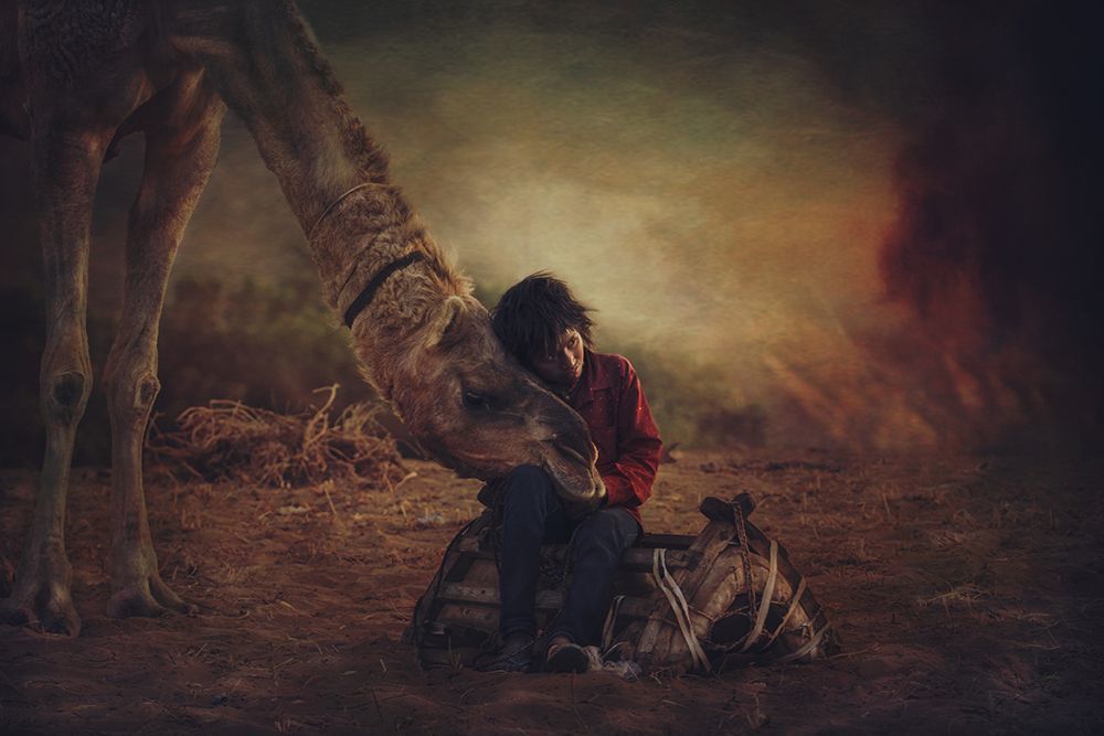 Svetlin Yosifov,Picsvet Photography