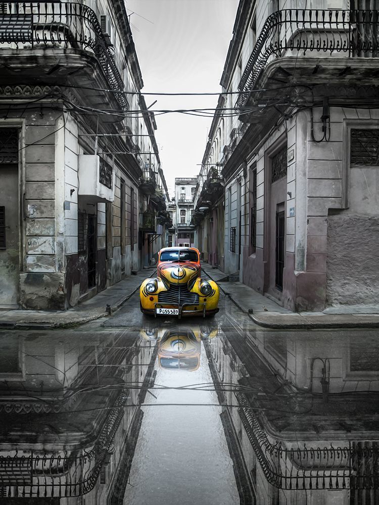 Svetlin Yosifov,Picsvet Photography