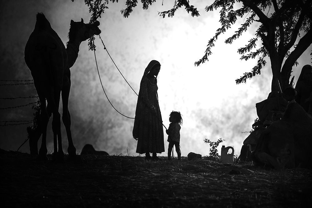 Svetlin Yosifov,Picsvet Photography