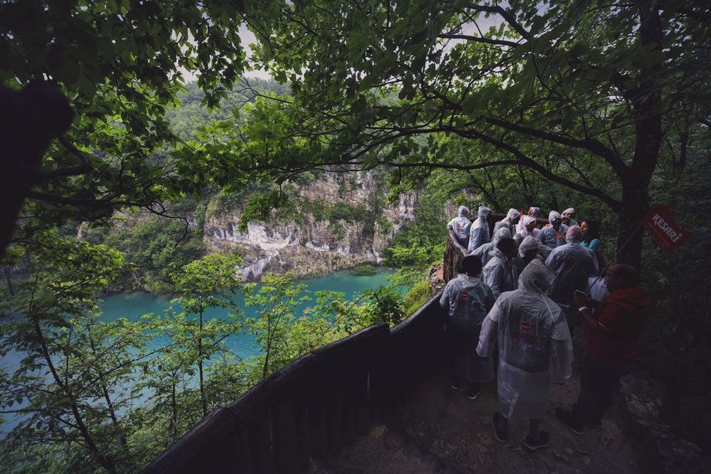 Лето в парке