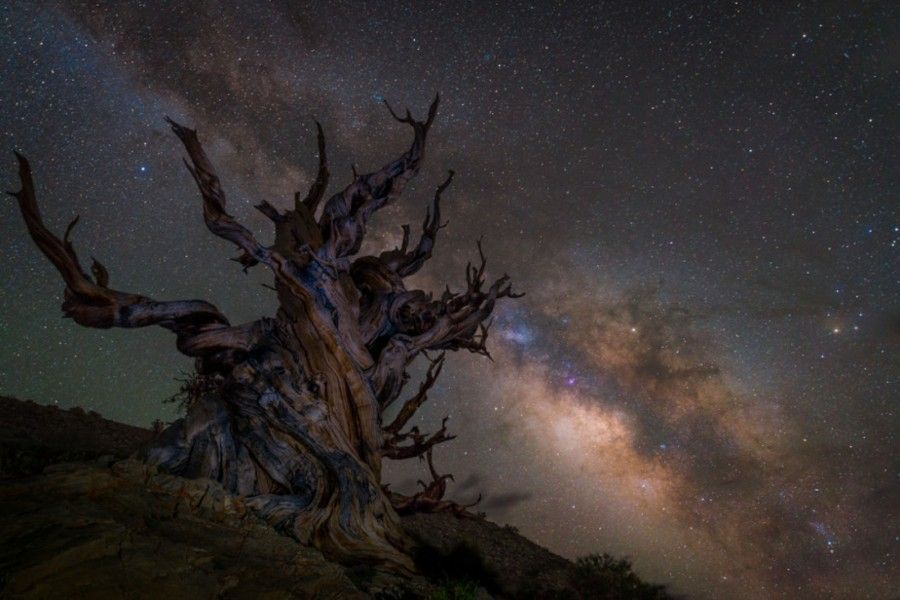 universe