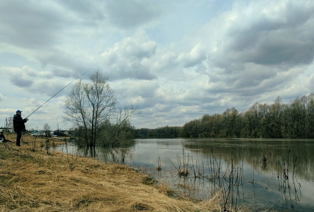 Мобильная солянка