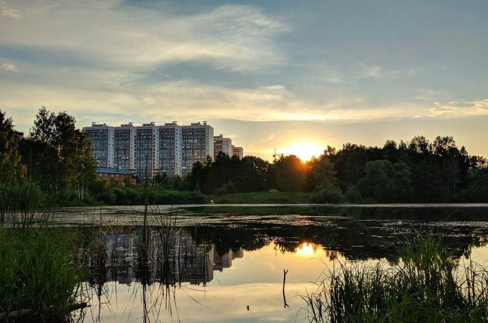 Мобильная солянка