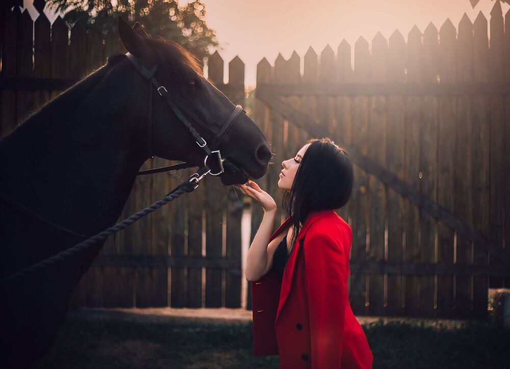 Любовь к лошадям