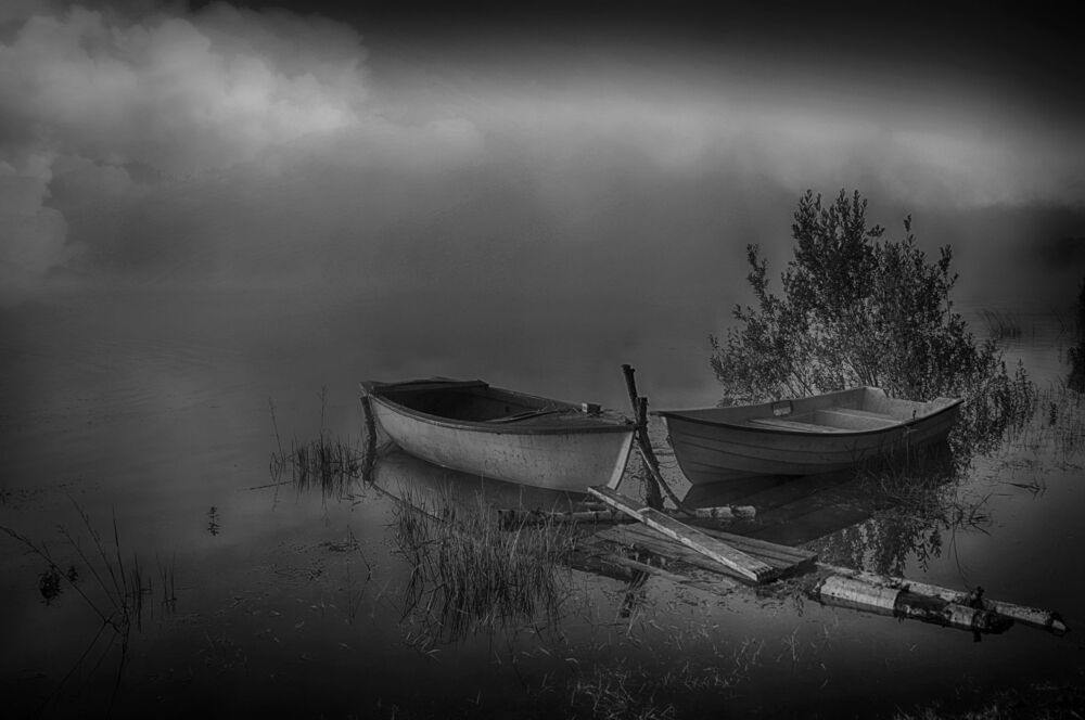 Black & White Little World
