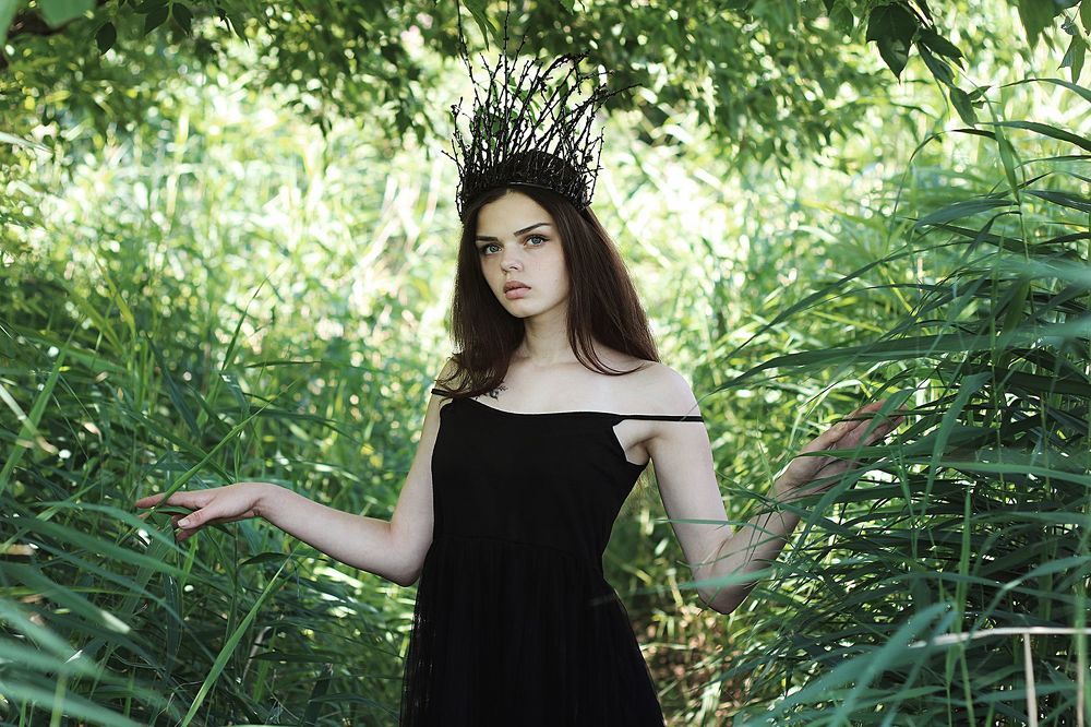 Dryad
