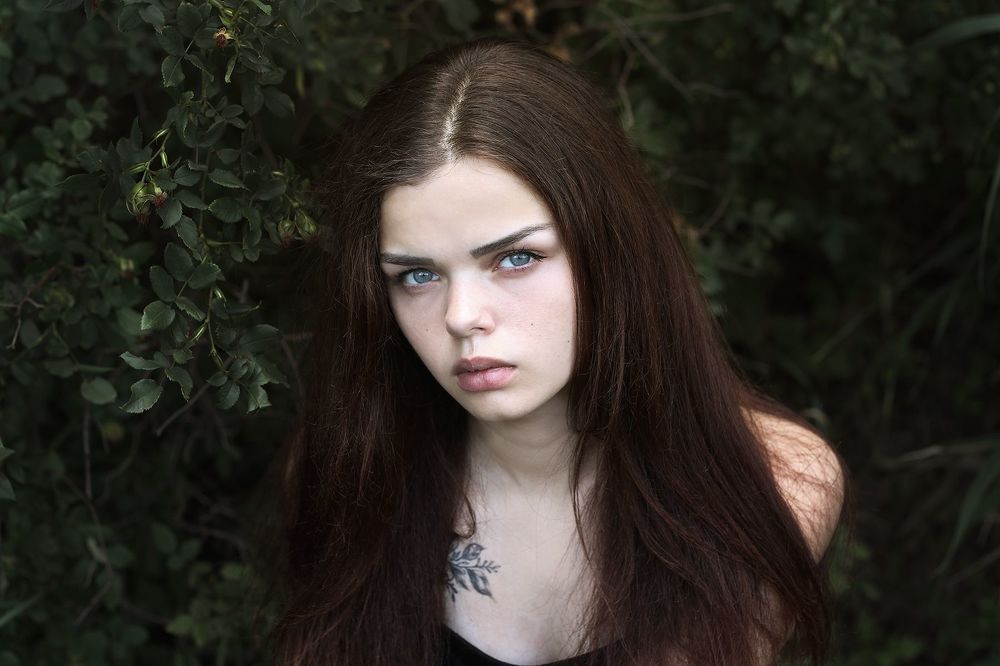 Dryad